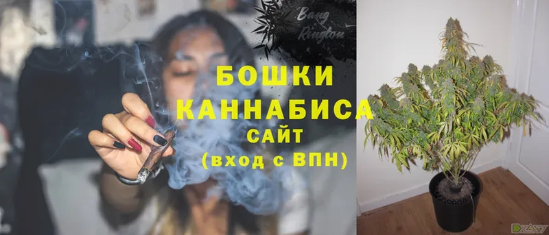 Бошки марихуана White Widow  Харовск 